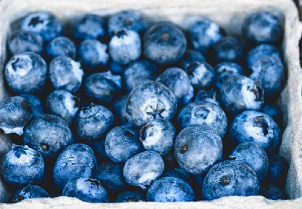 BlueBerries Superfoods